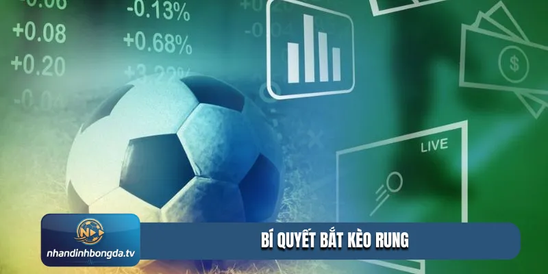 bí quyết bắt kèo rung