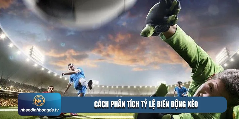 cách phân tích tỷ lệ biến động kèo