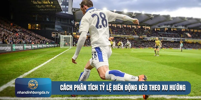 Cách phân tích tỷ lệ biến động kèo theo xu hướng