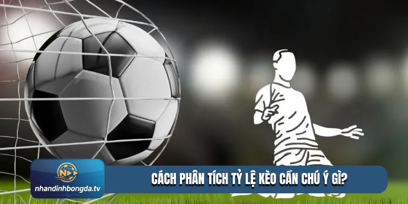 Cách phân tích tỷ lệ kèo cần chú ý gì?