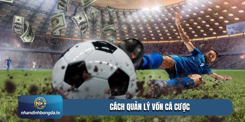 cách quản lý vốn cá cược