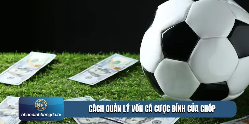 Cách quản lý vốn cá cược đỉnh của chóp