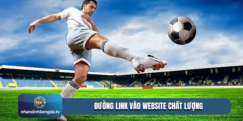 Đường link vào website chất lượng