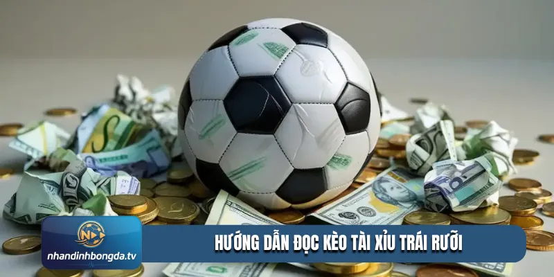 hướng dẫn đọc kèo tài xỉu trái rưỡi