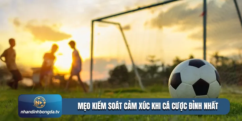 Mẹo kiểm soát cảm xúc khi cá cược đỉnh nhất