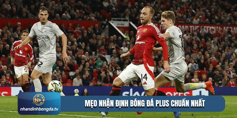 Mẹo nhận định bóng đá Plus chuẩn nhất