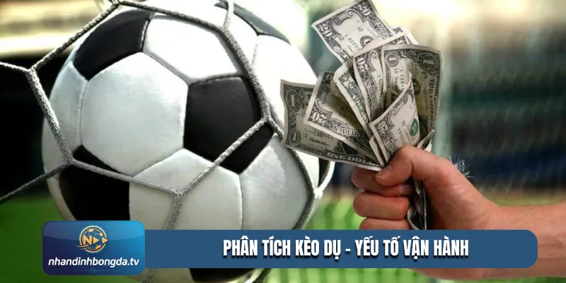 Phân tích kèo dụ - Yếu tố vận hành