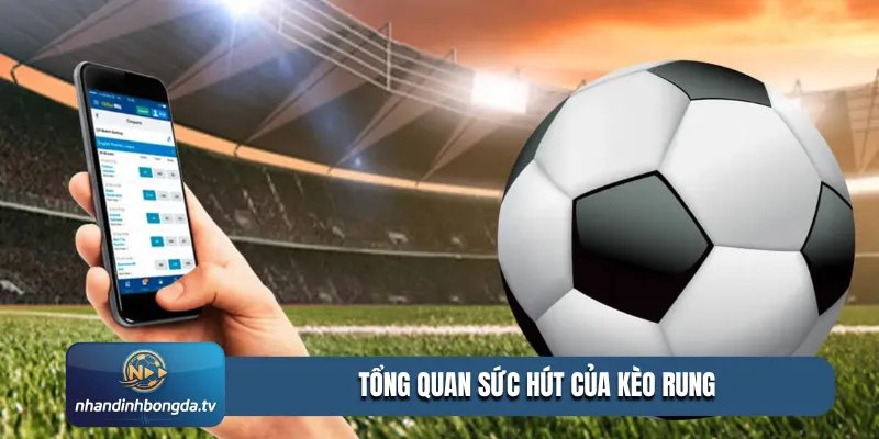 Tổng quan sức hút của kèo rung