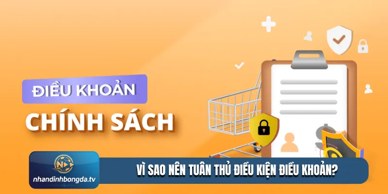 Vì sao nên tuân thủ điều kiện điều khoản?